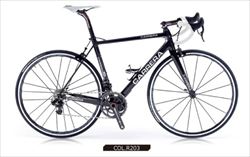 2013年モデル CARRERA カレラ ROAD RACER（ロードレーサー）大阪 吹田市